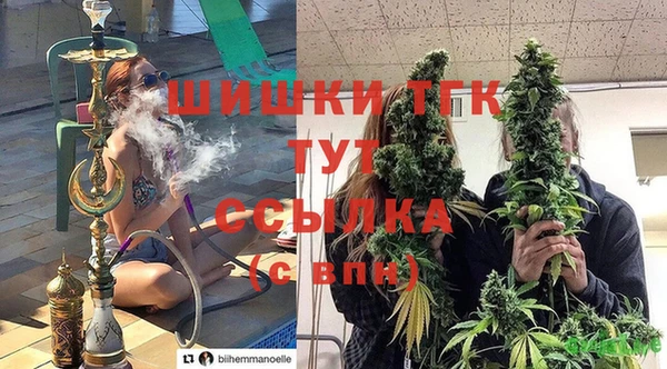 таблы Инсар