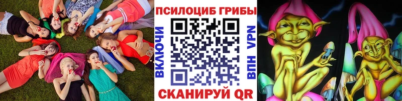 Галлюциногенные грибы мицелий  где можно купить   Кремёнки 